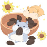 可爱小仓鼠吃瓜子向日葵美食插画