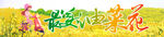  油菜花节横幅 
