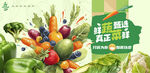 蔬菜海报