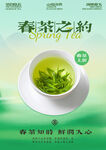 春茶之约