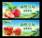 草莓