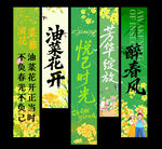 油菜花挂布