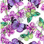 水彩卡通蝴蝶图片