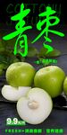 青枣海报 