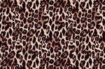 豹纹图案纹理