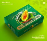 博洋蜜瓜礼盒 甜瓜包装