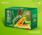 博洋蜜瓜包装 甜瓜礼盒
