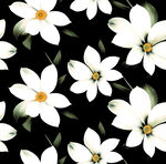 黑色背景上的白色花卉图案
