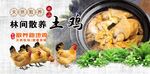 农家土鸡