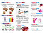 脑部健康科普信息图表
