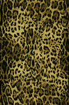 豹纹图案纹理背景