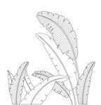 手绘植物叶片线条图 矢量图