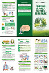防治结核病日三折页