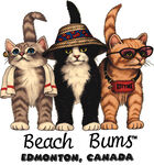 三只潮猫萌趣装扮