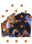 星空猫咪与橙色星星图案