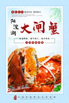 阳澄湖大闸蟹