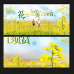 漫步油菜花海赏春光