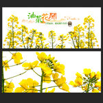 油菜花海春日烂漫风景