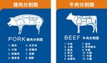 猪肉牛肉分割图