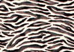 斑马纹图案纹理