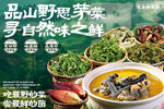 山野野菜 尝自然之鲜味