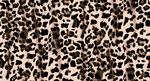豹纹图案布料纹理