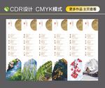 二十四节气艾灸