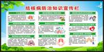世界防治结核病日宣传栏