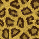 豹纹图案纹理背景图