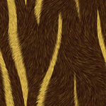 虎纹皮毛纹理图案