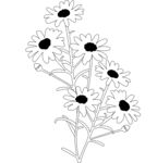 手绘雏菊花卉线条图 矢量图