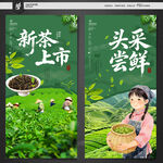 新茶上市 头采尝鲜海报
