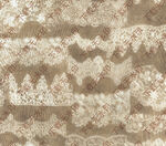 精致米色蕾丝面料纹理