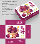 李子包装 水果盒子
