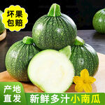 小南瓜