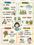 24节气海报谷雨