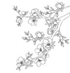 手绘花卉枝条图案 矢量图