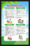 全国残疾预防日海报