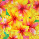 多彩鸡蛋花图案背景