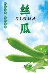 鲜嫩丝瓜