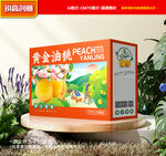 黄桃包装 桃子礼盒