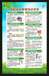 健康教育知识海报