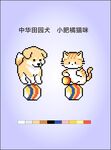 中华田园犬猫小陀螺萌趣