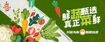 蔬菜海报