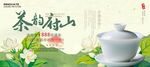 茉莉花茶展板