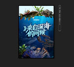 海鲜广告