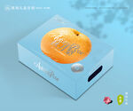 秋月梨礼盒 梨包装