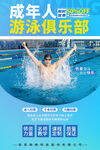 成人游泳俱乐部宣传海报