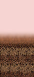 豹纹纹理背景图案