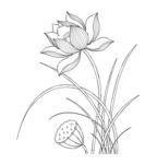 白描荷花图  矢量图